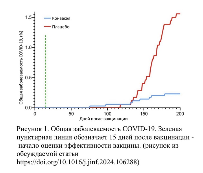 Результаты III фазы клинических исследований вакцины «Конвасэл» опубликованы в международном журнале
